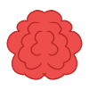 Fleur Rose Rouge Symbole
