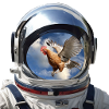 Astronaut + chicken