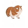 Guinea Pig Pet