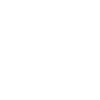 Poodle