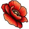 Mohn 2