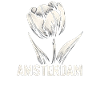 Amsterdam Tulip Holland Netherlands