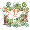 Tropical Summer