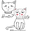 Dog and cat, today? NO!