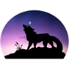 Die Reise eines Sternenwolfs - Silouhette Nocturne
