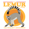 Lemur Ring-tailed Lemur Lemur Gift