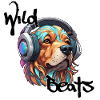 Headphones / Audio / Music / Sound / Cool