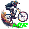 MTB Bike