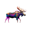 neon moose