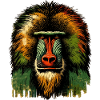 Baboon Pavian Affe Monkey Animal