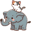 Cat rides elephant