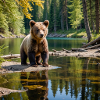 Bear Lake