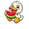 Duck with watermelon fruity