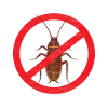 Pest Control Exterminator