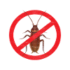 Schädlingsbekämpfung Kammerjäger