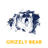 Grizzlybär Alaska Braunbär Bär