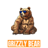 Grizzlybär Alaska Braunbär Bär