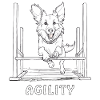 DOG SPORT AGILITY