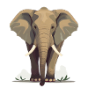 Éléphant