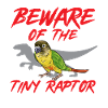 Molina Parakeet Parrot Bird Parakeet