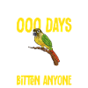Molina Parakeet Parrot Bird Parakeet
