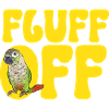 Molinasittich Papagei Vogel Sittich