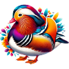 Mandarin duck