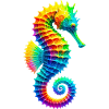 Hippocampe