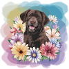 Brauner Labrador mit Blumen
