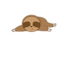 Sloth sleeping on the ground