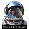 Astronaut meeting a turkey