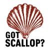 Scallop