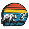 Stay Motivated