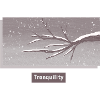 Tranquility design