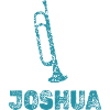 Gift for Joshua