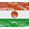 Niger Niger
