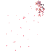 Sakura - Cherry Blossoms