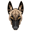 Attention Malinois Dog