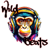 Headphones / Audio / Music / Sound / Cool
