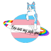 Safe Space Cat