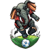 Football Elephant