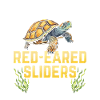 Red-eared turtle lovers