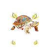 Red-eared turtle lovers