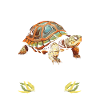 Red-eared turtle lovers