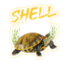 Red-eared turtle lovers