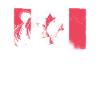 Grizzli Ours brun du Canada