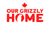 Grizzli Ours brun du Canada