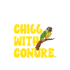 Molina Parakeet Parrot Bird Parakeet