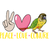 Perruche Molina Perroquet Perruche oiseau