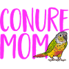Perruche Molina Perroquet Perruche oiseau